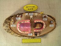 189 DENTURE ROCK 1847.31