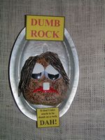 269 DUMB ROCK 421.13