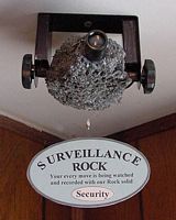 058 SURVEILLANCE ROCK 862.63