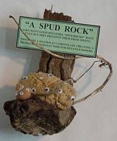 007 SPUD ROCK 546.71