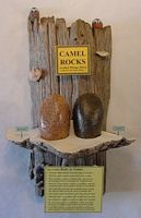 094 CAMEL ROCKS 1257.22